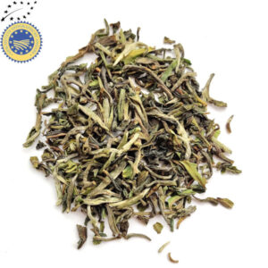 Flugtee 2025 Darjeeling Lingia Bio