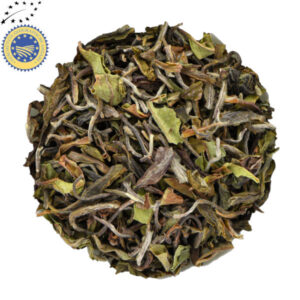 Darjeeling 1st Flush Samabeong Spring Blossom Bio