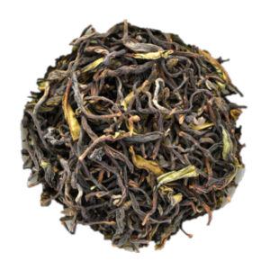 Flugtee 2026 Nilgiri Kairbeta - Winter Flush