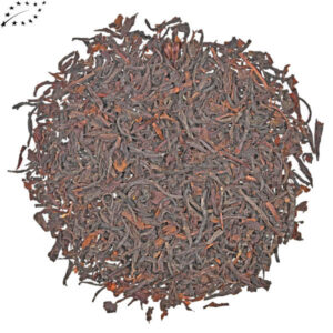 Mozambique Monte Metilile Bio