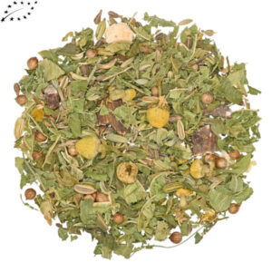 Stoffwechsel-Booster Bio